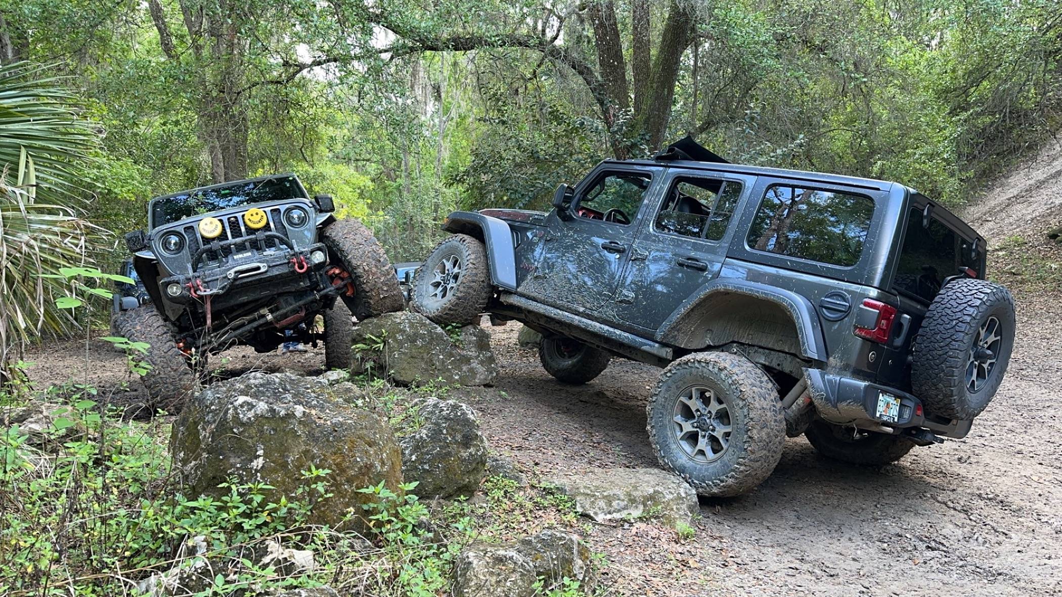 Jeep Wrangler JL Rear Antirock & Brake Lines IMG_0419