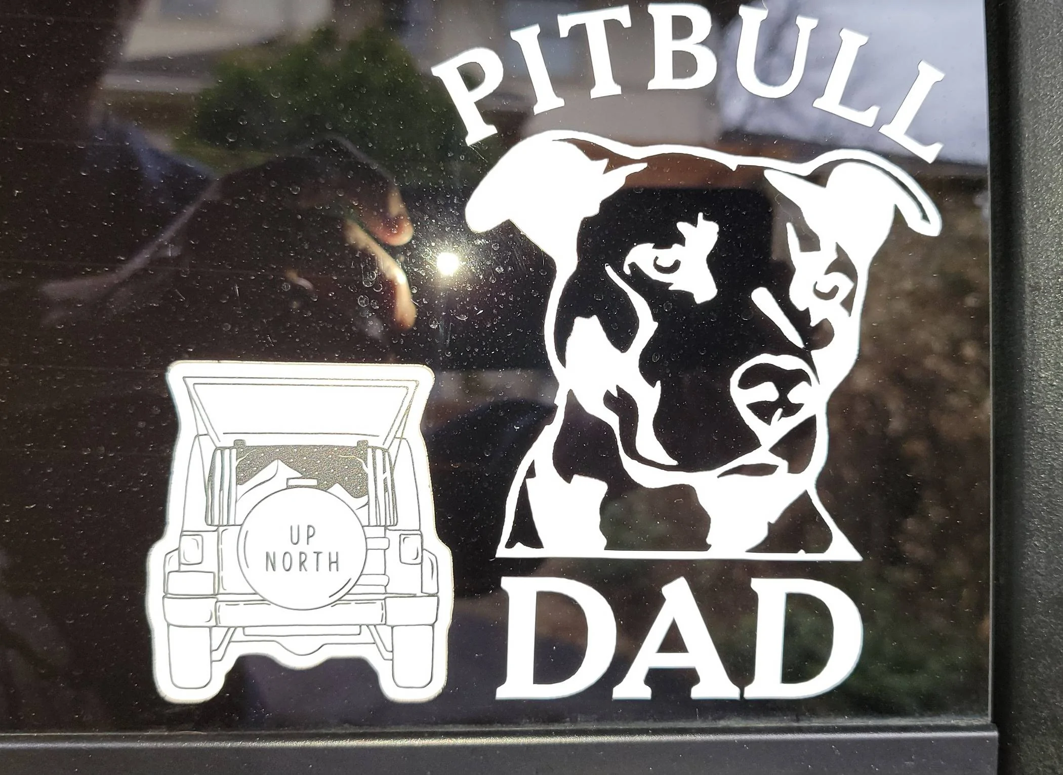 Jeep Wrangler JL Who's Rocking Back Window Stickers 20240325_160301
