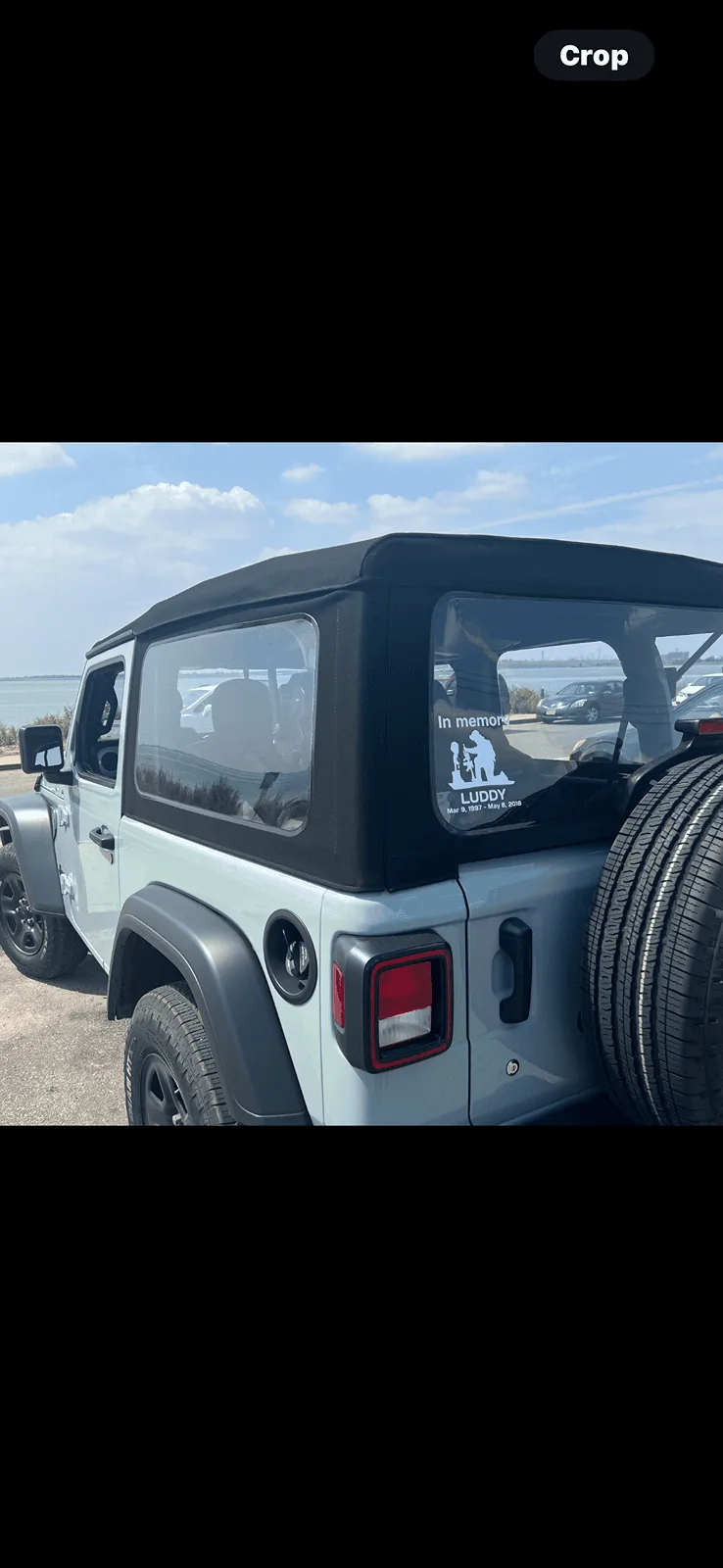 Jeep Wrangler JL Who's Rocking Back Window Stickers IMG_5173