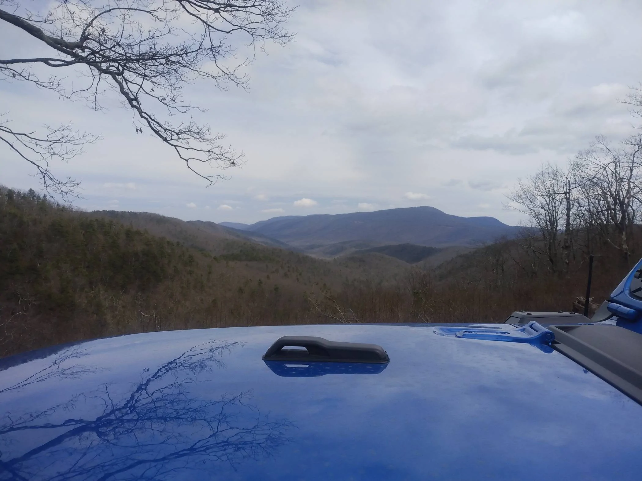 Jeep Wrangler JL Happy Easter! IMG_20240328_133754924