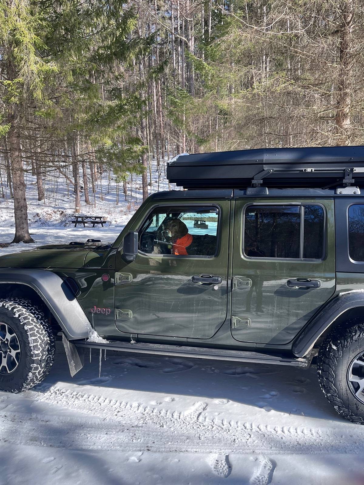 Jeep Wrangler JL Jeep Dog pics IMG_9608