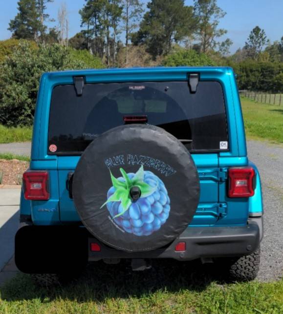 Jeep Wrangler JL Any regrets getting a Bikini colored Wrangler? IMG_20240402_114731