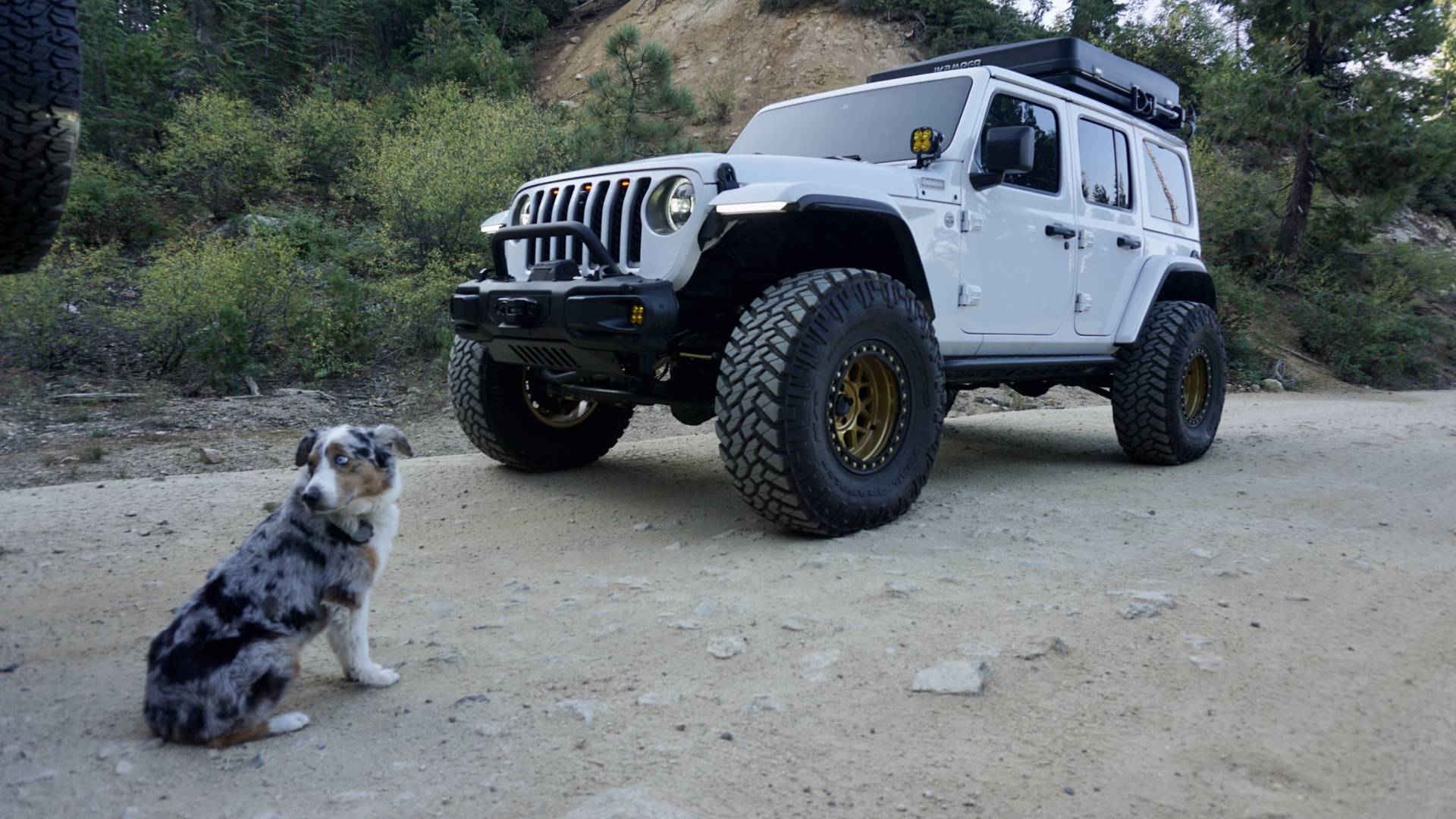 Jeep Wrangler JL Extreme Recon-do I do it? DSC09067