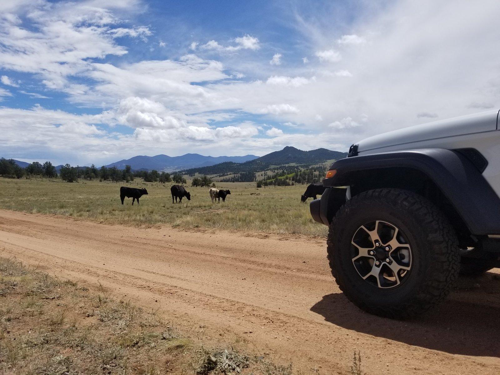 Jeep Wrangler JL anyone with 6K miles and zero problems 20180818_123938