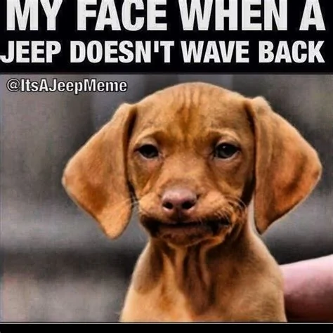 Jeep Wrangler JL Jeep Wave Etiquette wave01
