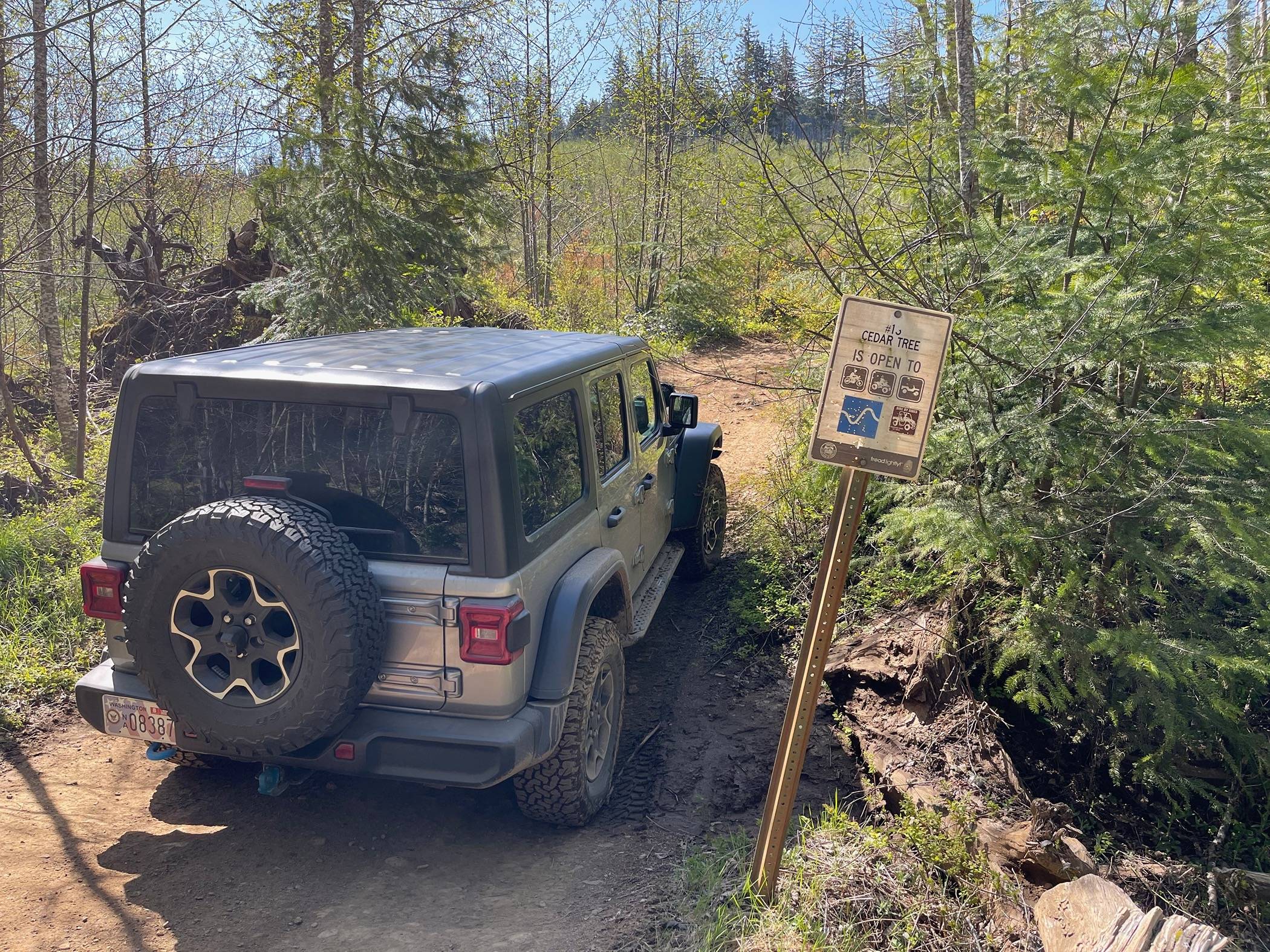 Jeep Wrangler JL 5500 miles over 38 nights towing an Encore ROG 12RK w/ my '24 392 2022-05-22_cedar_tree_13