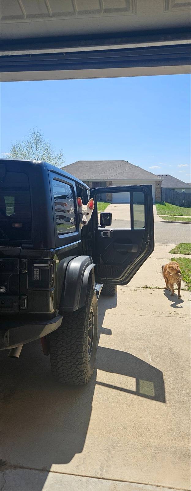 Jeep Wrangler JL Tail Light Tuesday - POST YOUR PICS Screenshot_20240427_212249_Gallery