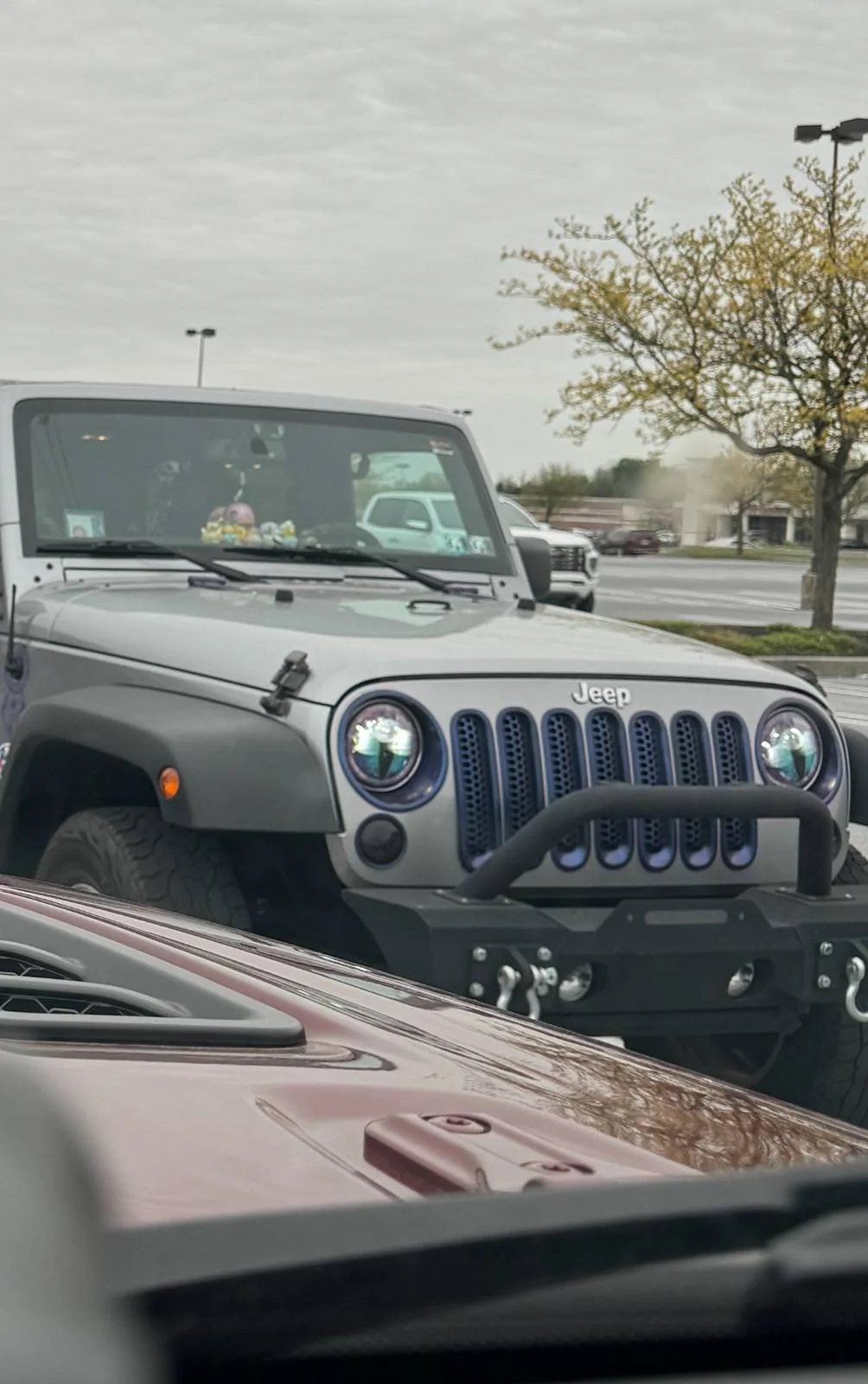 Jeep Wrangler JL WTF ... *___* IMG_6351