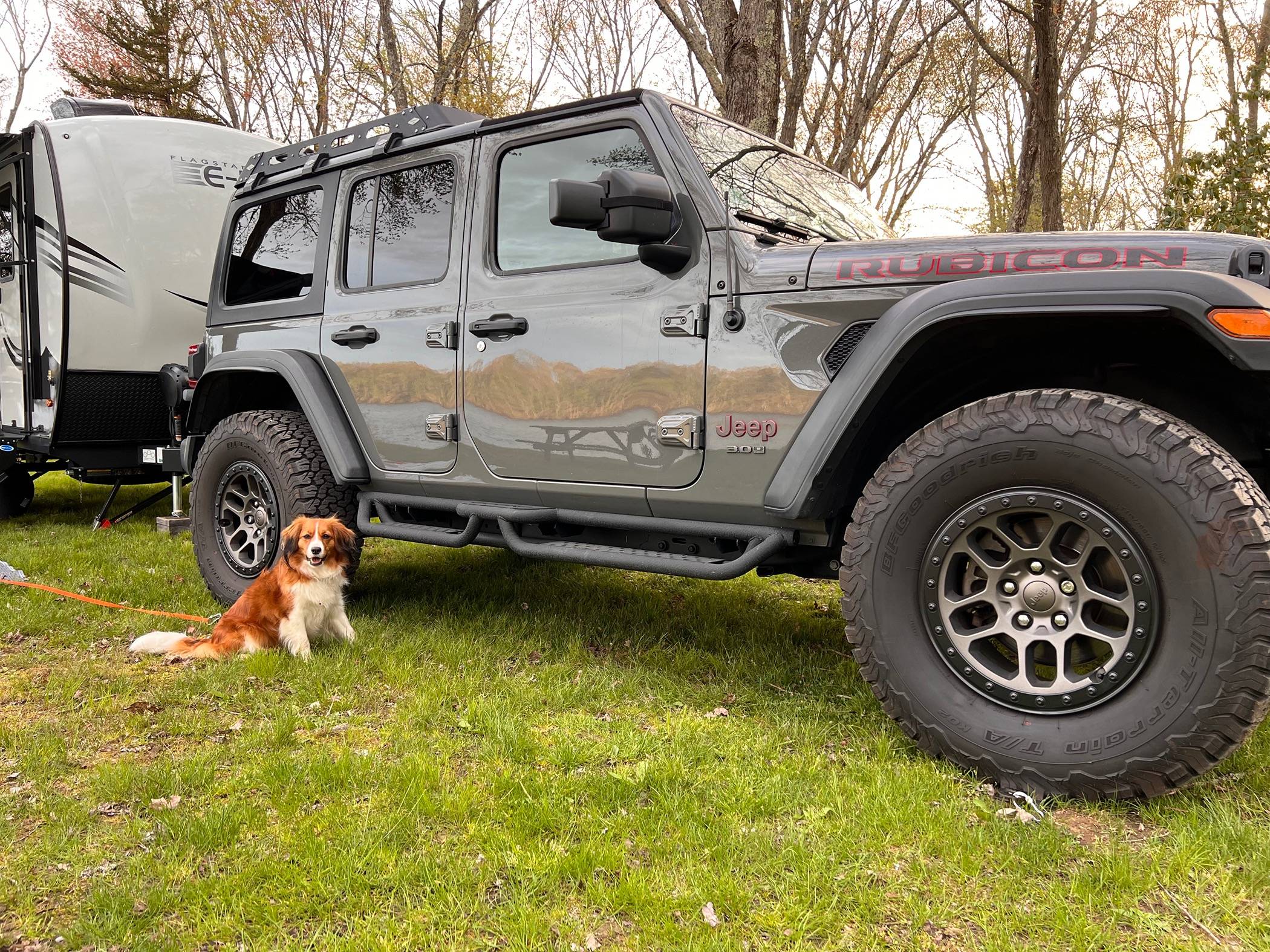 Jeep Wrangler JL Jeep Dog pics IMG_2729