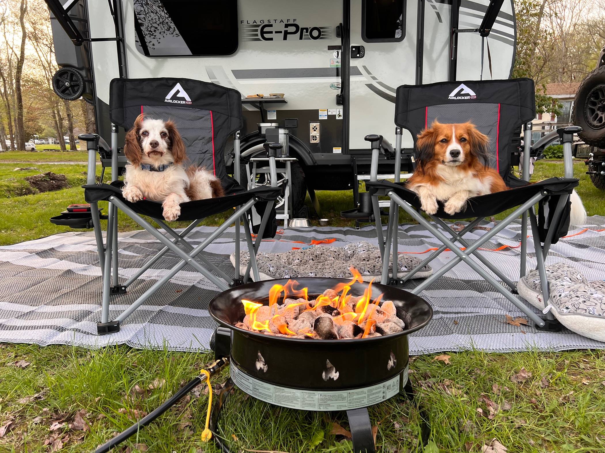 Jeep Wrangler JL Jeep Dog pics IMG_2725