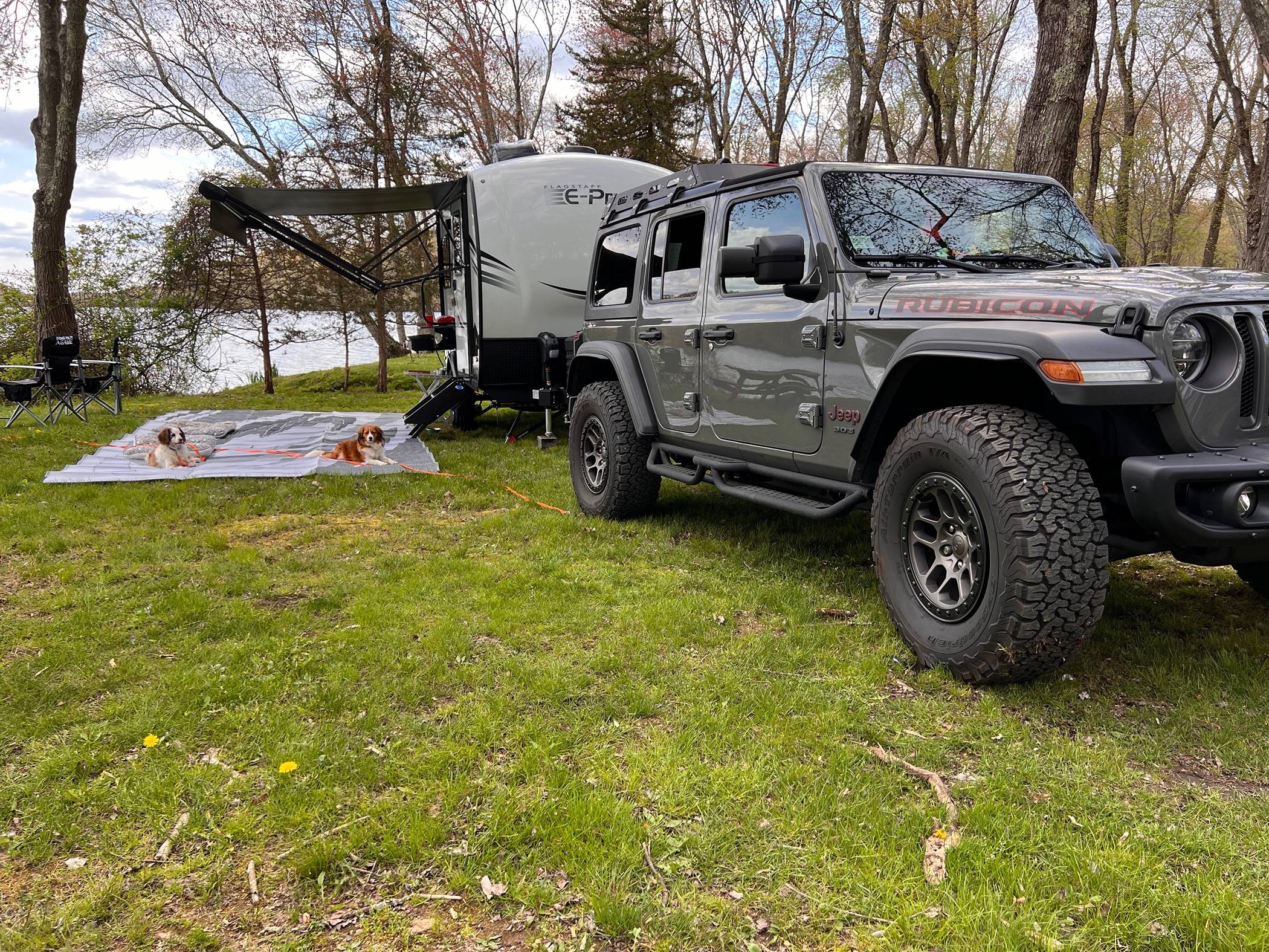 Jeep Wrangler JL Jeep Dog pics IMG_2659