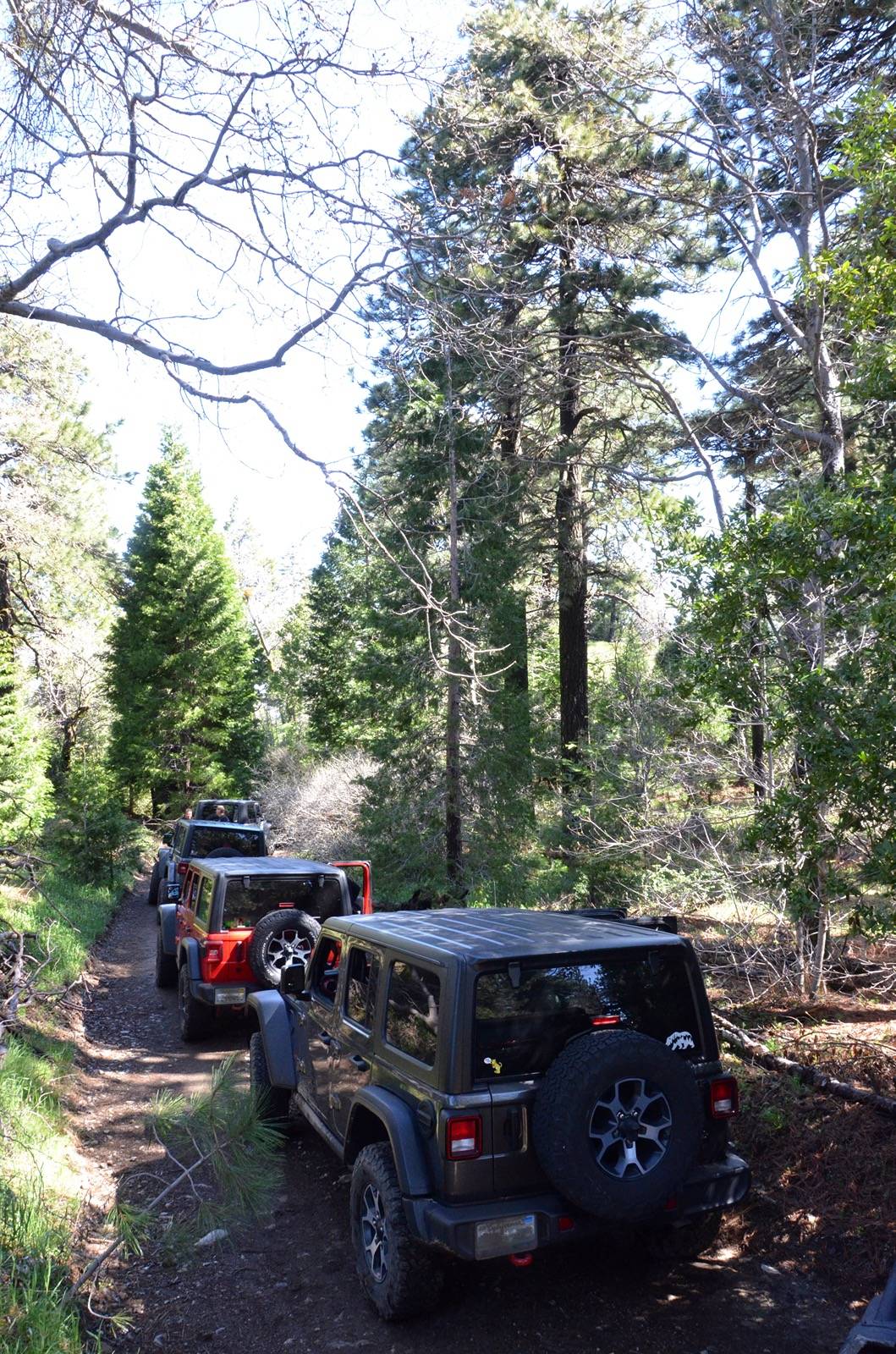 Jeep Wrangler JL June Wheelin' - Miller Jeep Trail - Sat June 8th D7P_6135