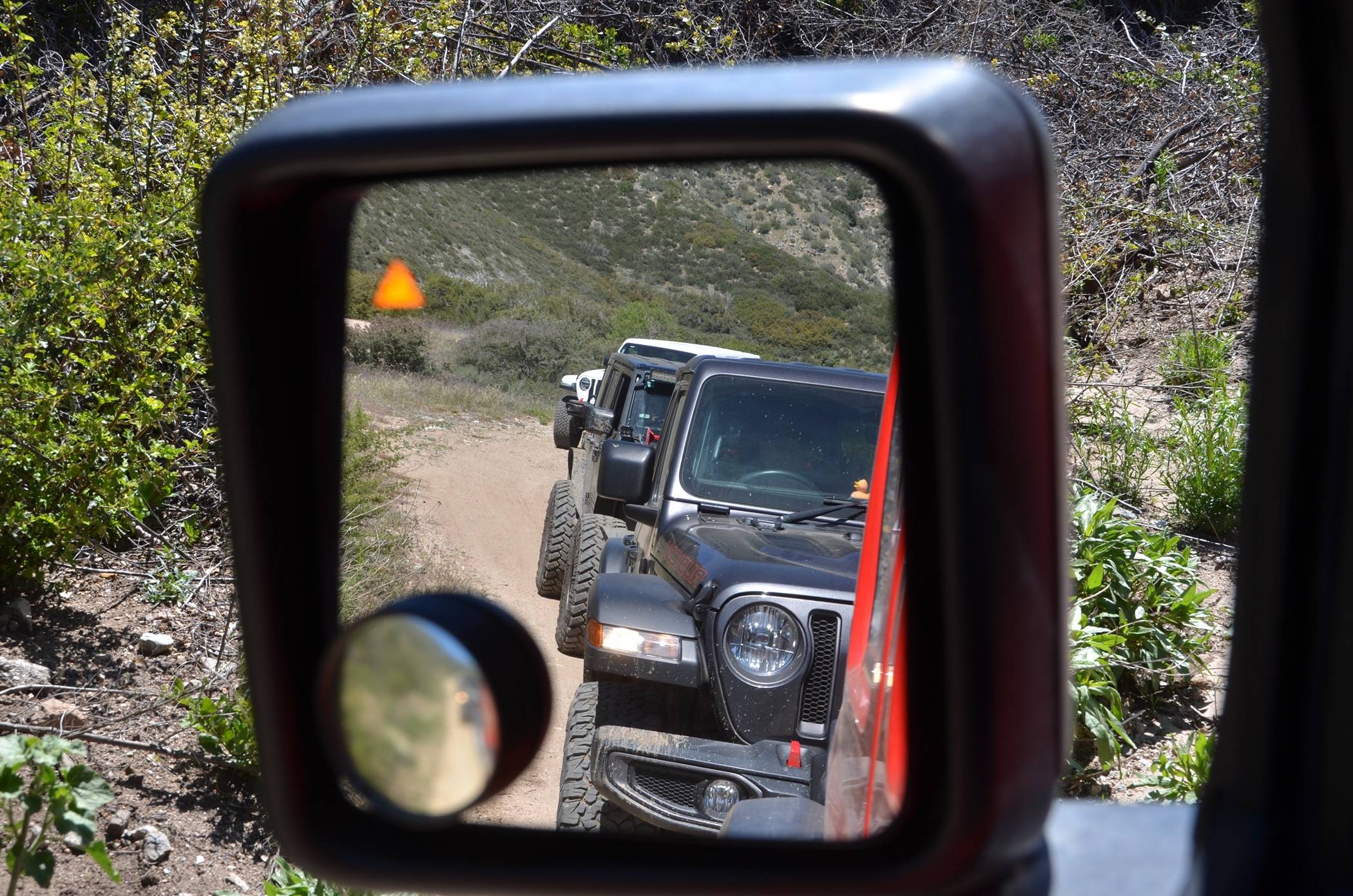 Jeep Wrangler JL June Wheelin' - Miller Jeep Trail - Sat June 8th D7P_6142