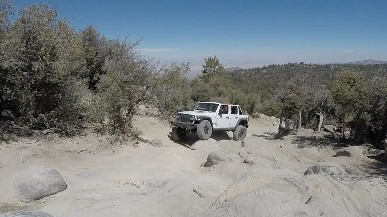 Jeep Wrangler JL What did you do TO your Jeep JL today? jb fLEX