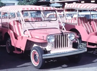 Jeep Wrangler JL You bought the wrong vehicle. ED272125-28E2-4DC2-A210-9CB6CBECF5A0