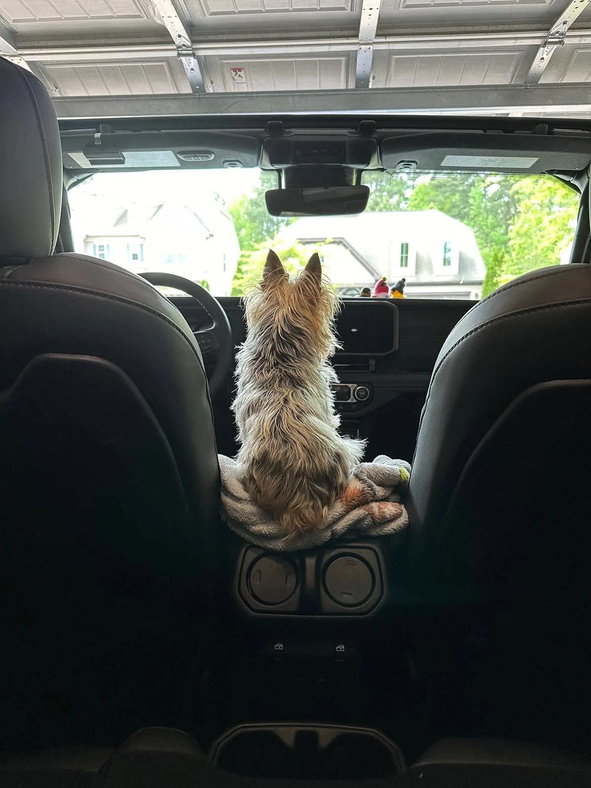 Jeep Wrangler JL Jeep Dog pics IMG_3419