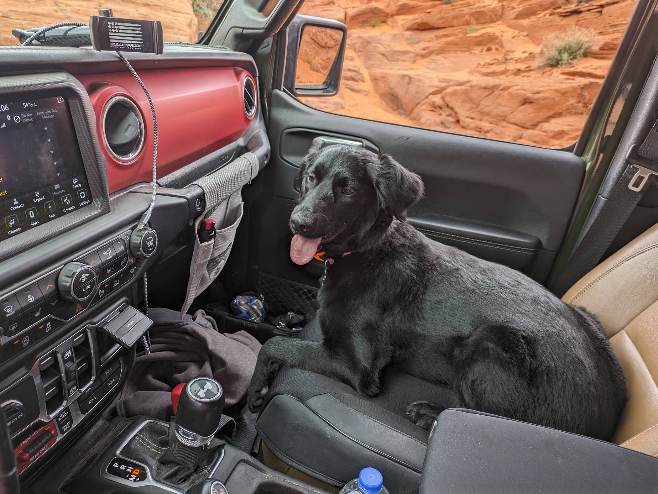 Jeep Wrangler JL Jeep Dog pics PXL_20240427_180620163