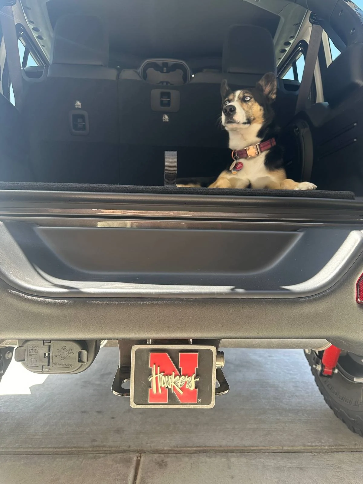 Jeep Wrangler JL Jeep Dog pics IMG_8064