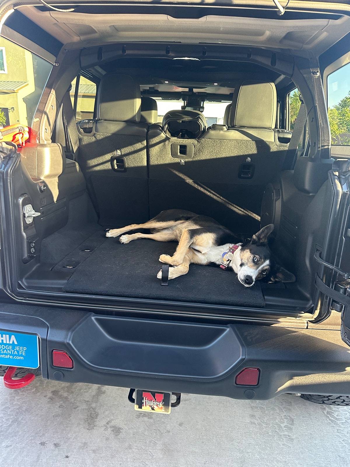 Jeep Wrangler JL Jeep Dog pics IMG_8075