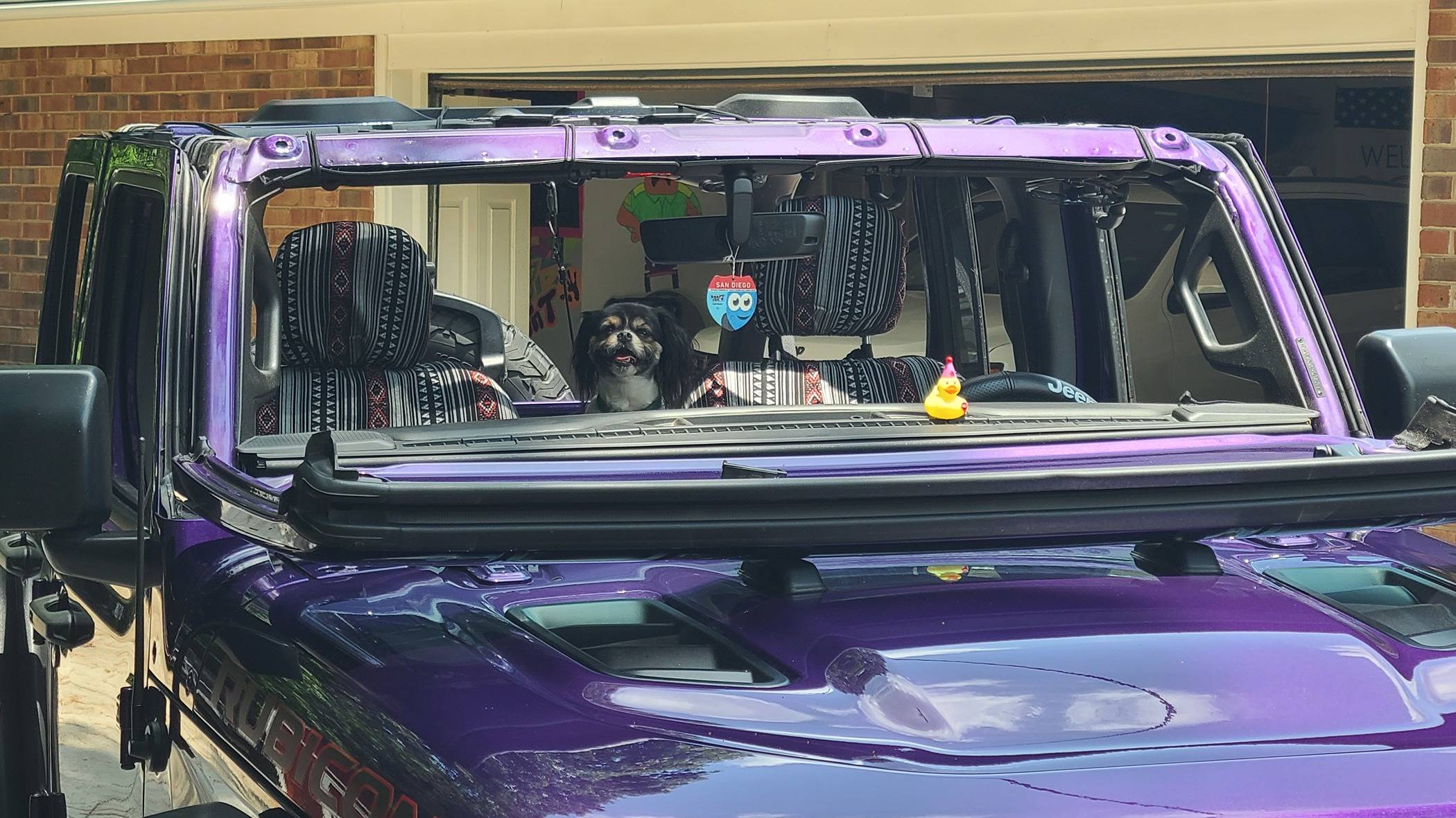Jeep Wrangler JL Jeep Dog pics 20240526_133614