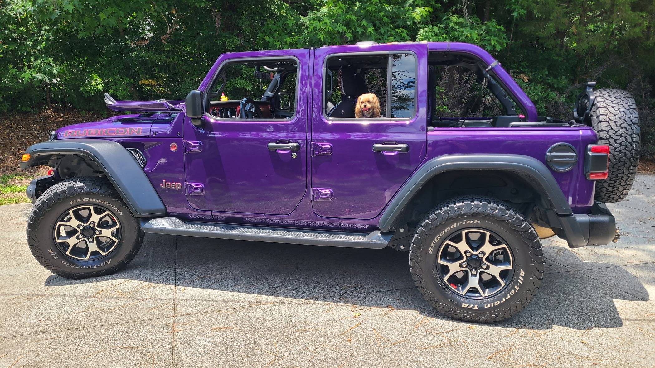 Jeep Wrangler JL Jeep Dog pics 20240526_133524