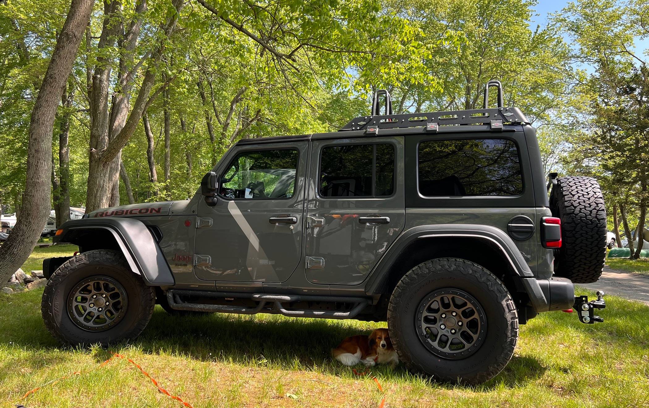 Jeep Wrangler JL Jeep Dog pics IMG_2980