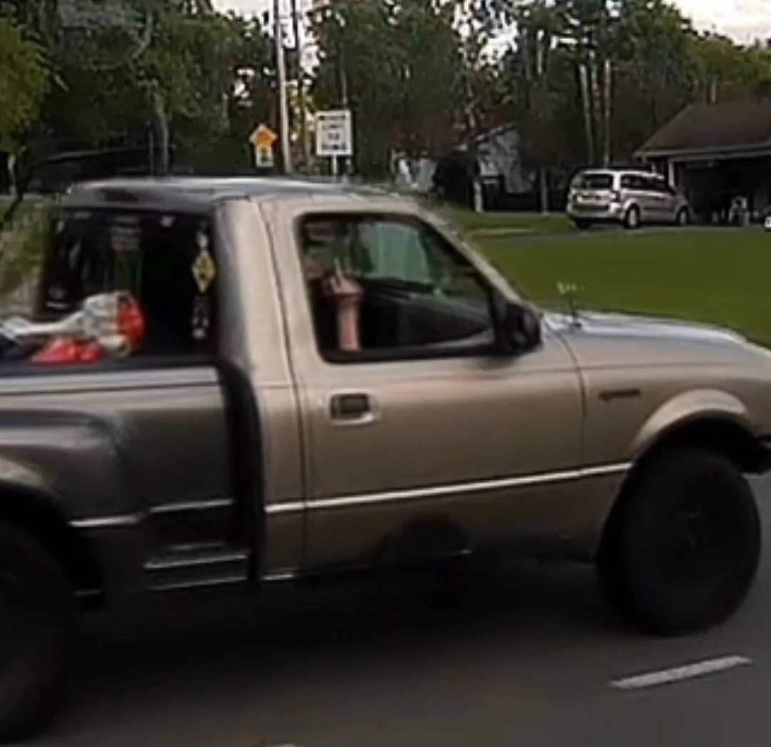 Jeep Wrangler JL Ducks are Better Than Birds Bird 4