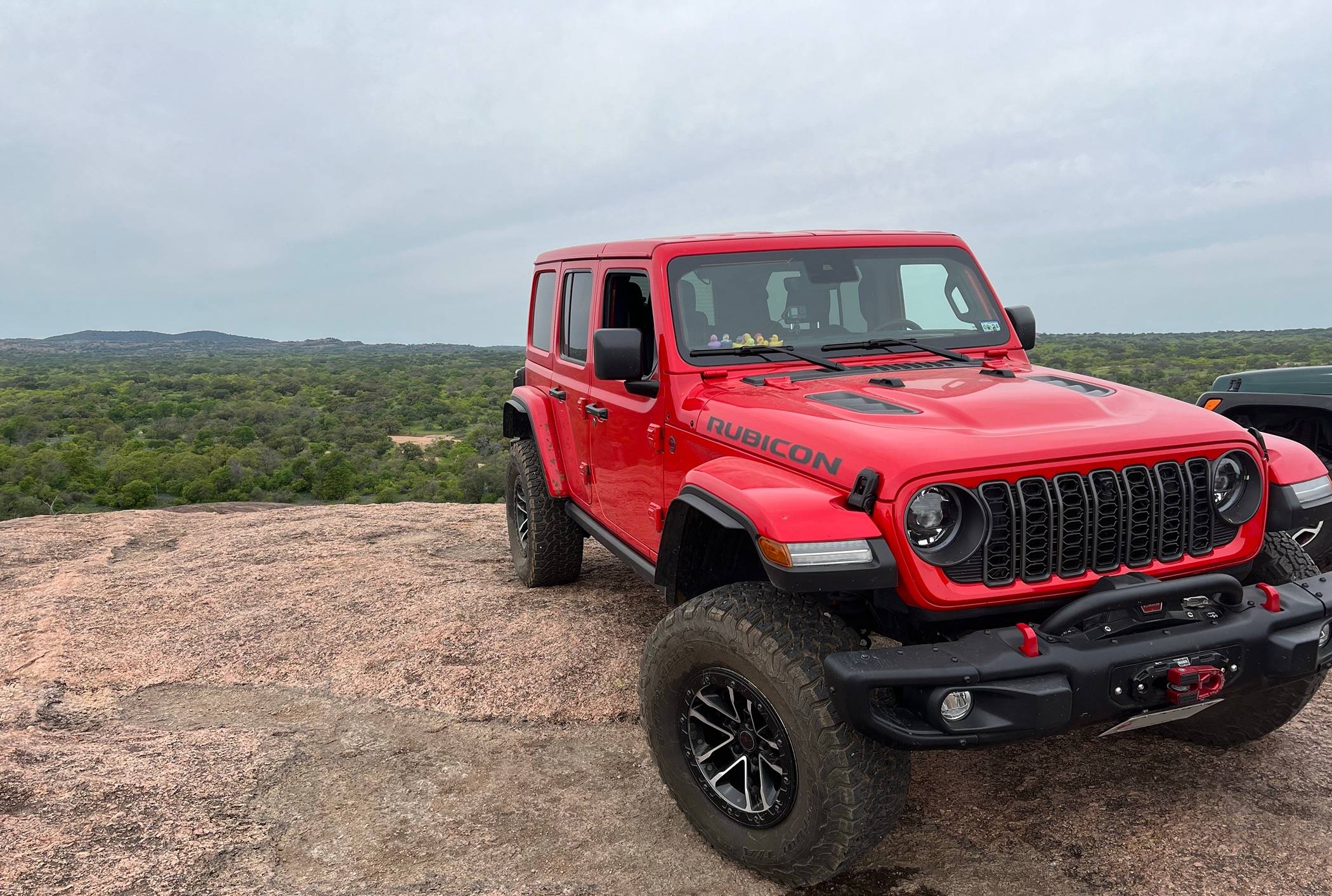 Jeep Wrangler JL Winch guard IMG_3490