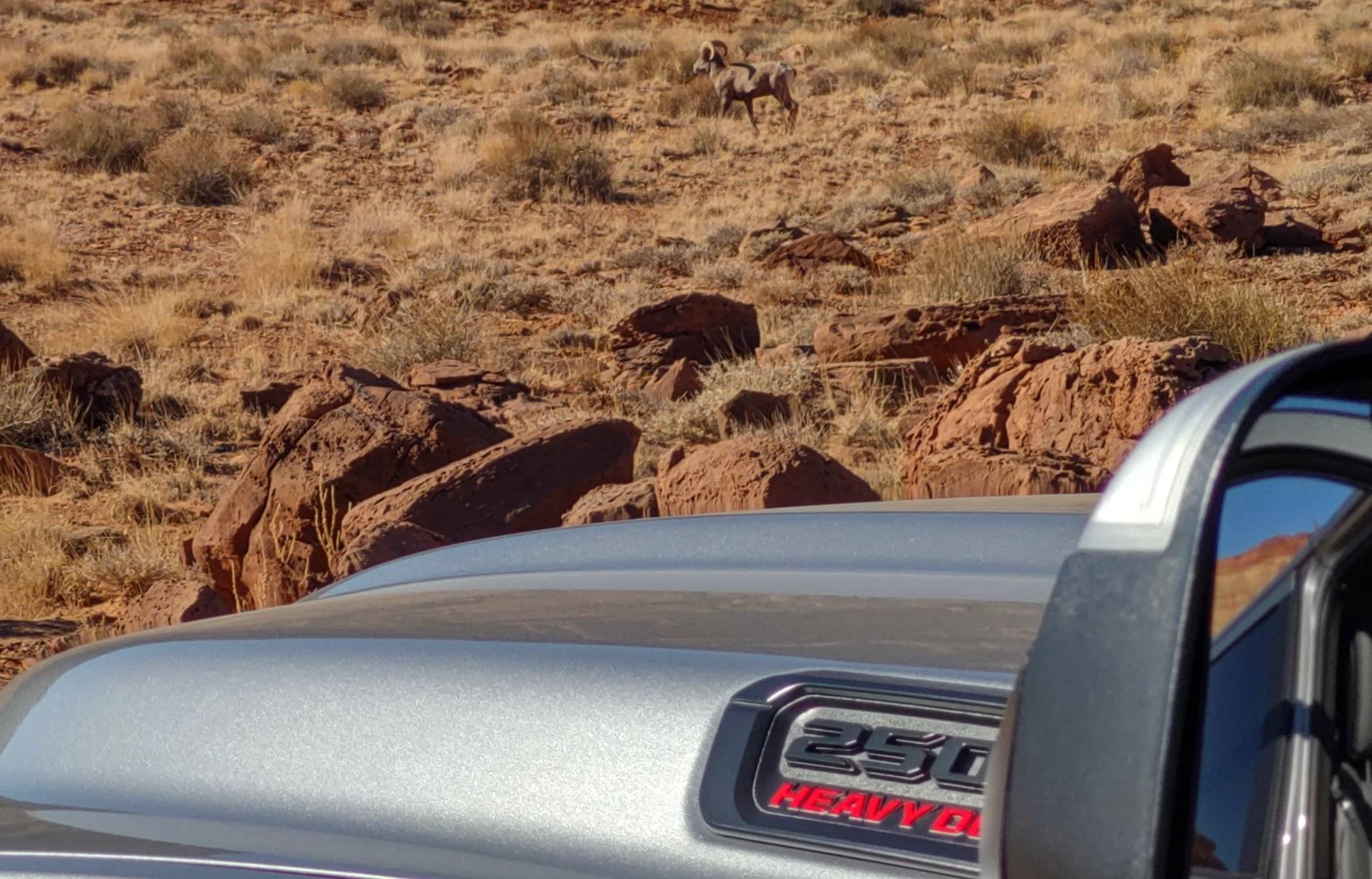 Jeep Wrangler JL Moab reservation confirmed! IMG_20201207_113542856_HDR