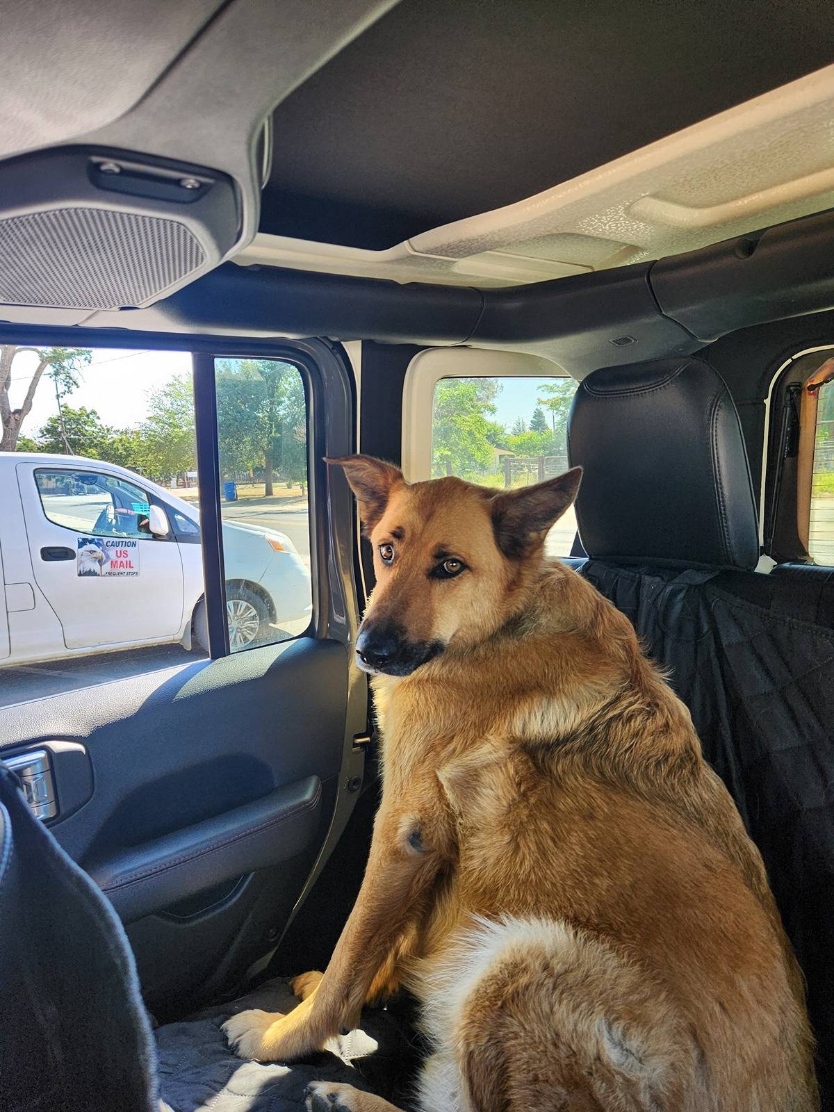 Jeep Wrangler JL Calling All Dog Lovers 1000007954