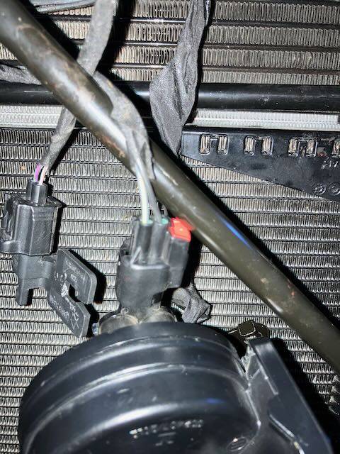 Jeep Wrangler JL Splicing into Horn wires IMG_4226