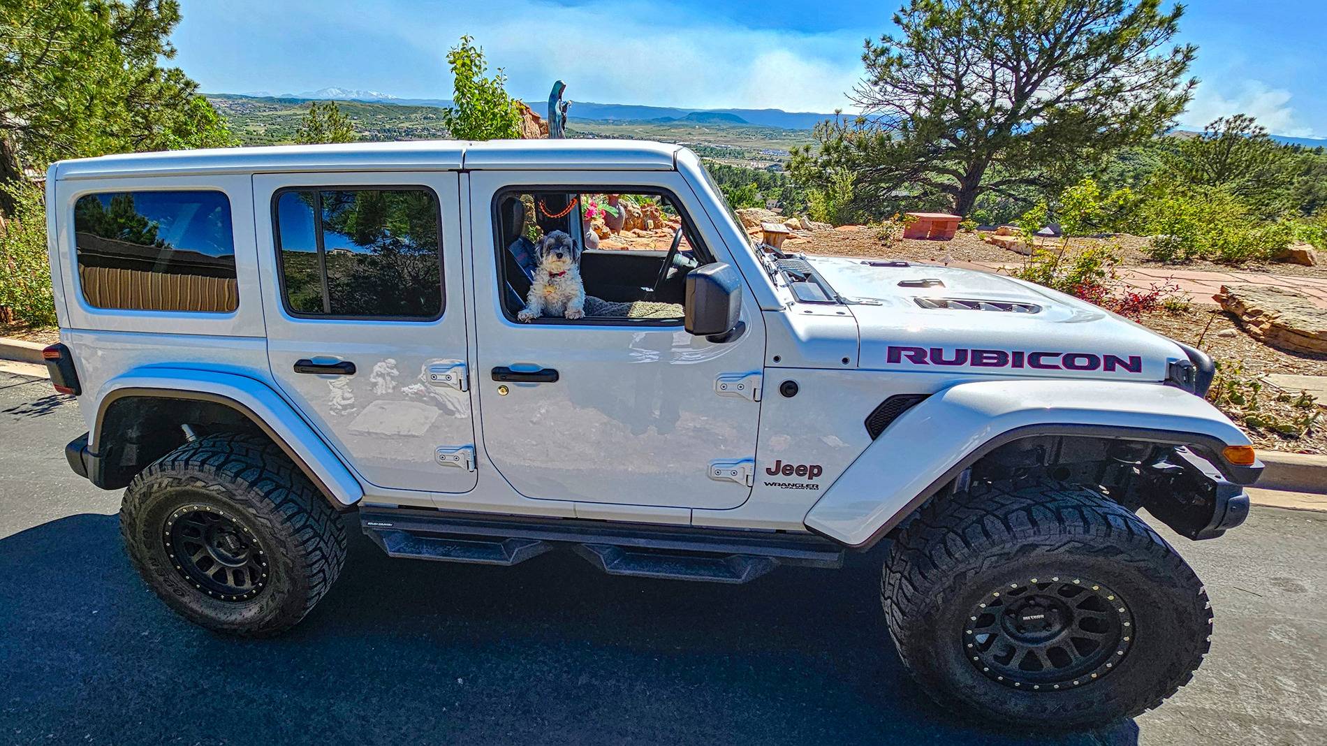 Jeep Wrangler JL Jeep Dog pics rsdt20240605_154918-03