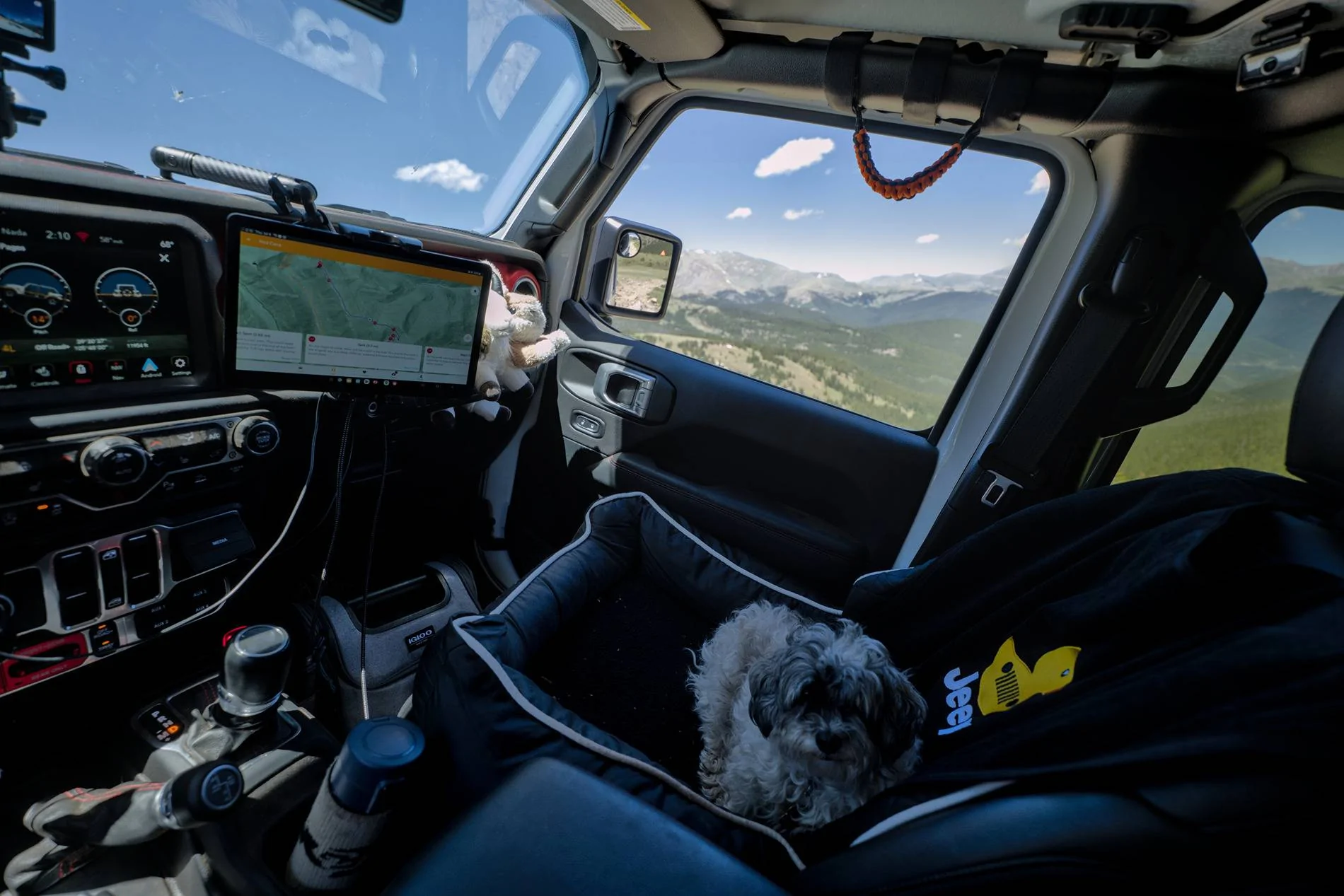 Jeep Wrangler JL Jeep Dog pics rsdtP1250624