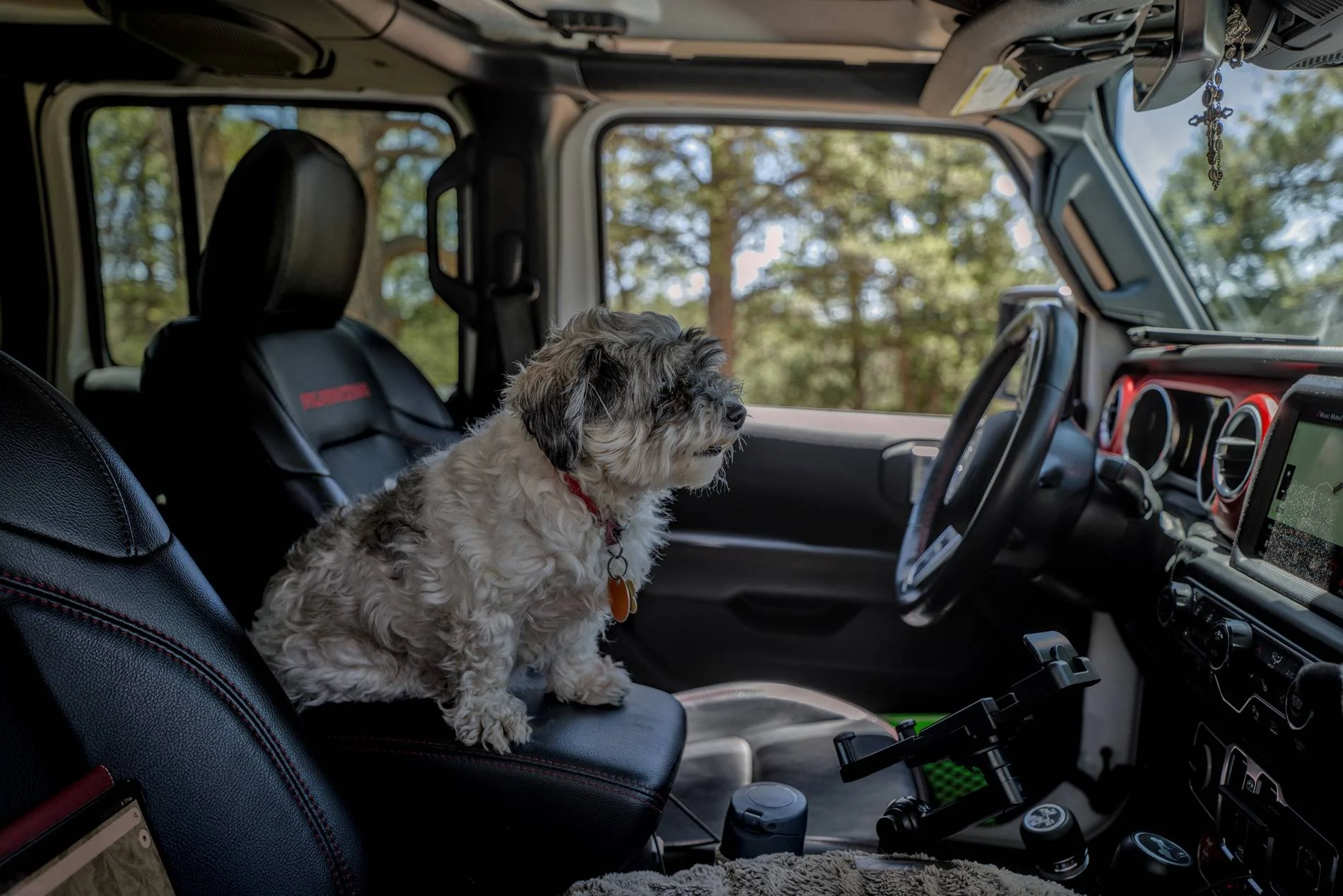 Jeep Wrangler JL Jeep Dog pics rsdtP1249671