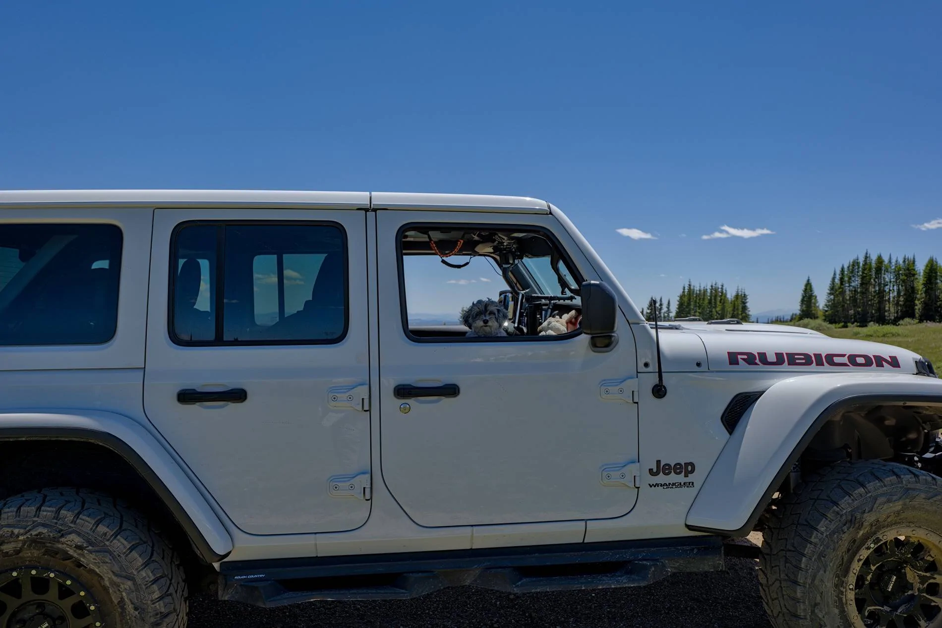 Jeep Wrangler JL Jeep Dog pics dtP1250619