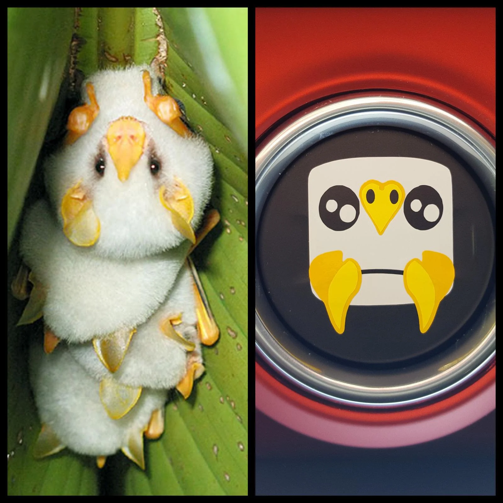 CollageMaker_20180920_135645092.webp