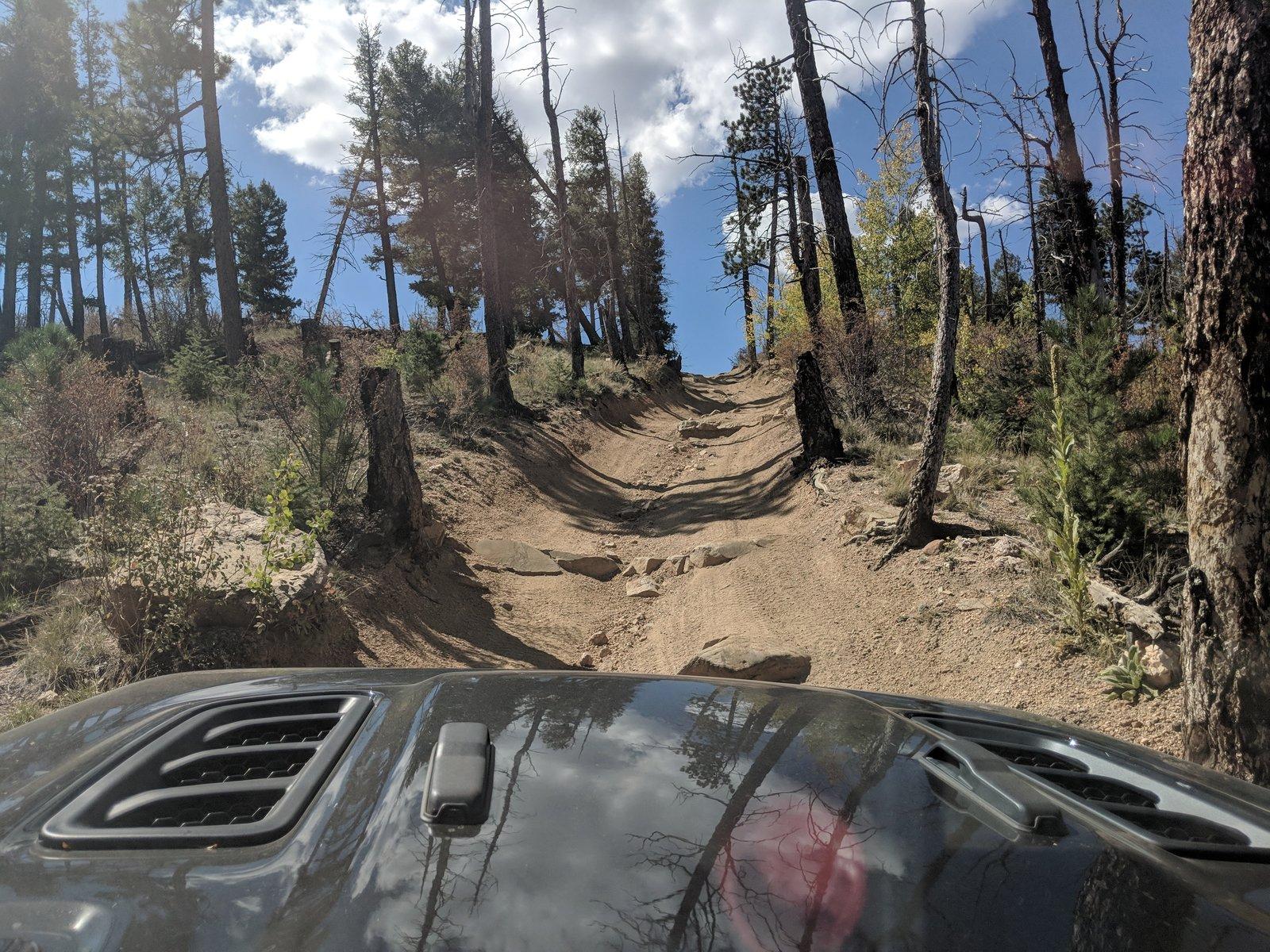 Jeep Wrangler JL Jeep humor waiting room ( ** NO POLITICS ** ) MVIMG_20180916_122216
