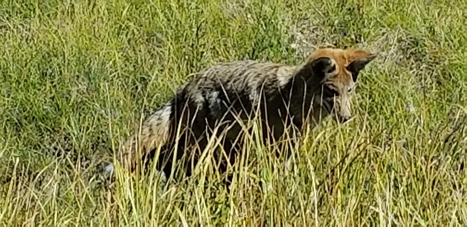 20180920_144240.webp