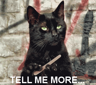 0A8082FA-3D6F-400E-98AA-057F772C1C1A.gif