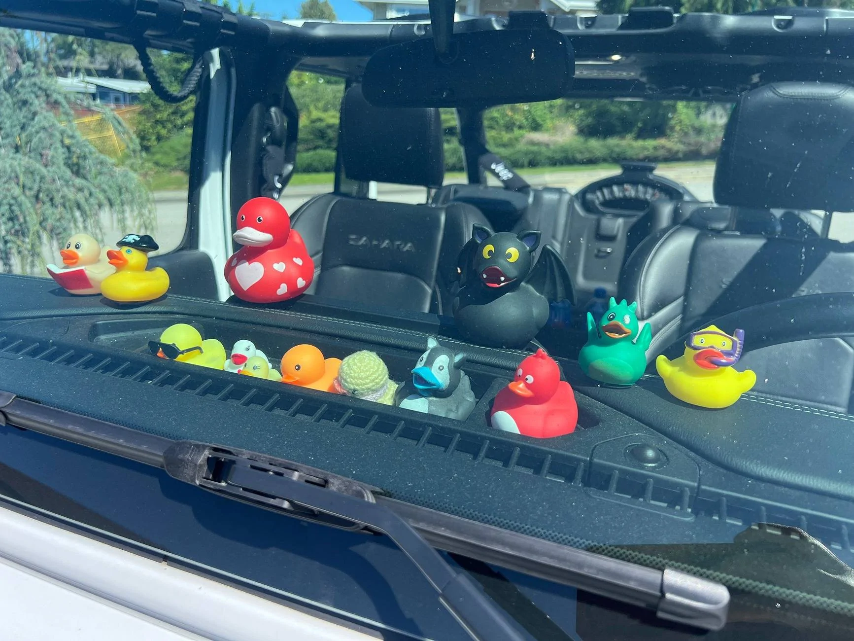 Jeep Wrangler JL Let's see your ducks! IMG_2898
