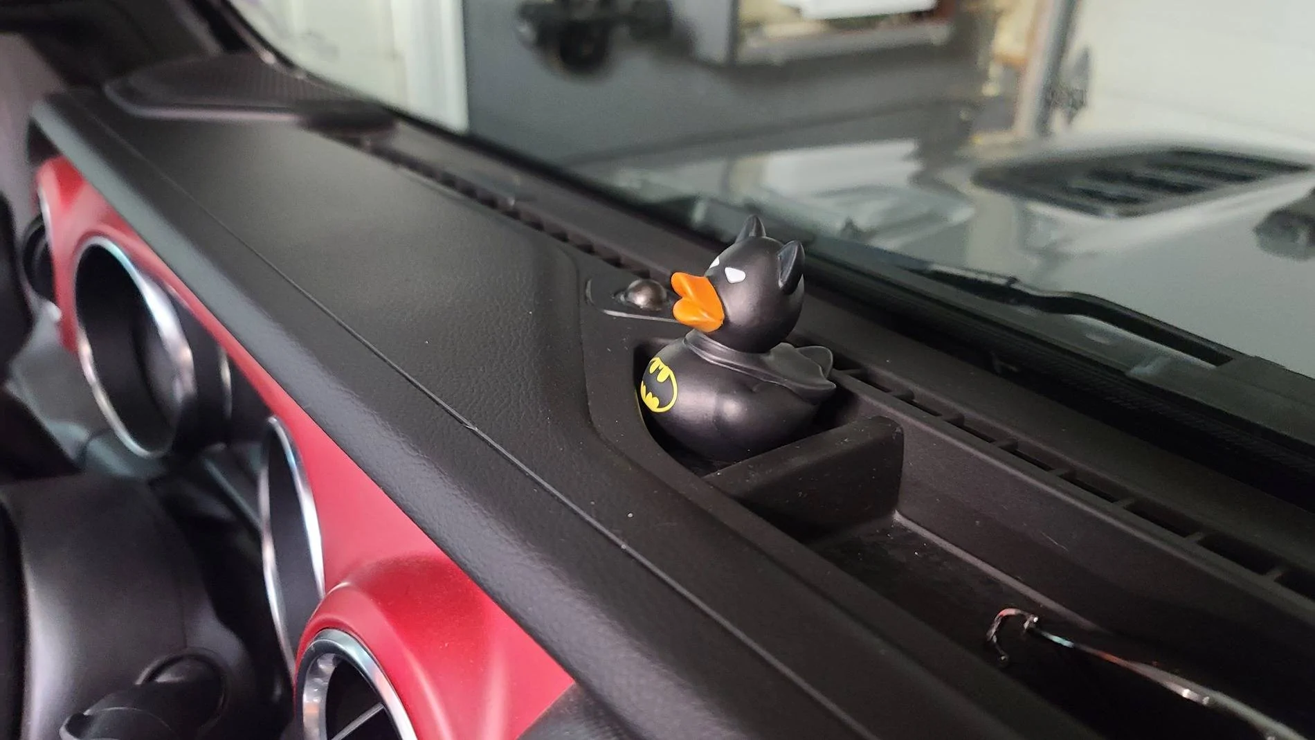 Jeep Wrangler JL Let's see your ducks! 20240716_170915