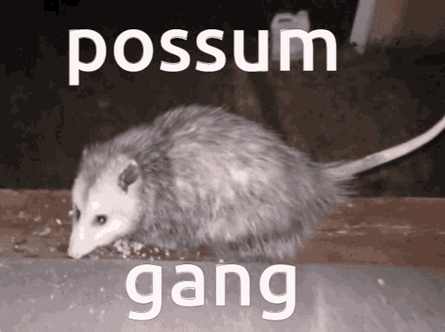 Jeep Wrangler JL Psycho Jeep Driver possum-opossum