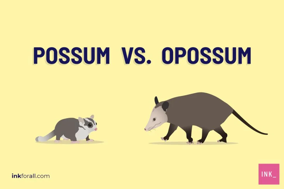 Jeep Wrangler JL Psycho Jeep Driver Possum-and-opossum-are-both-marsupials-but-they