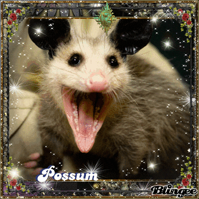 Jeep Wrangler JL Psycho Jeep Driver possum-picture