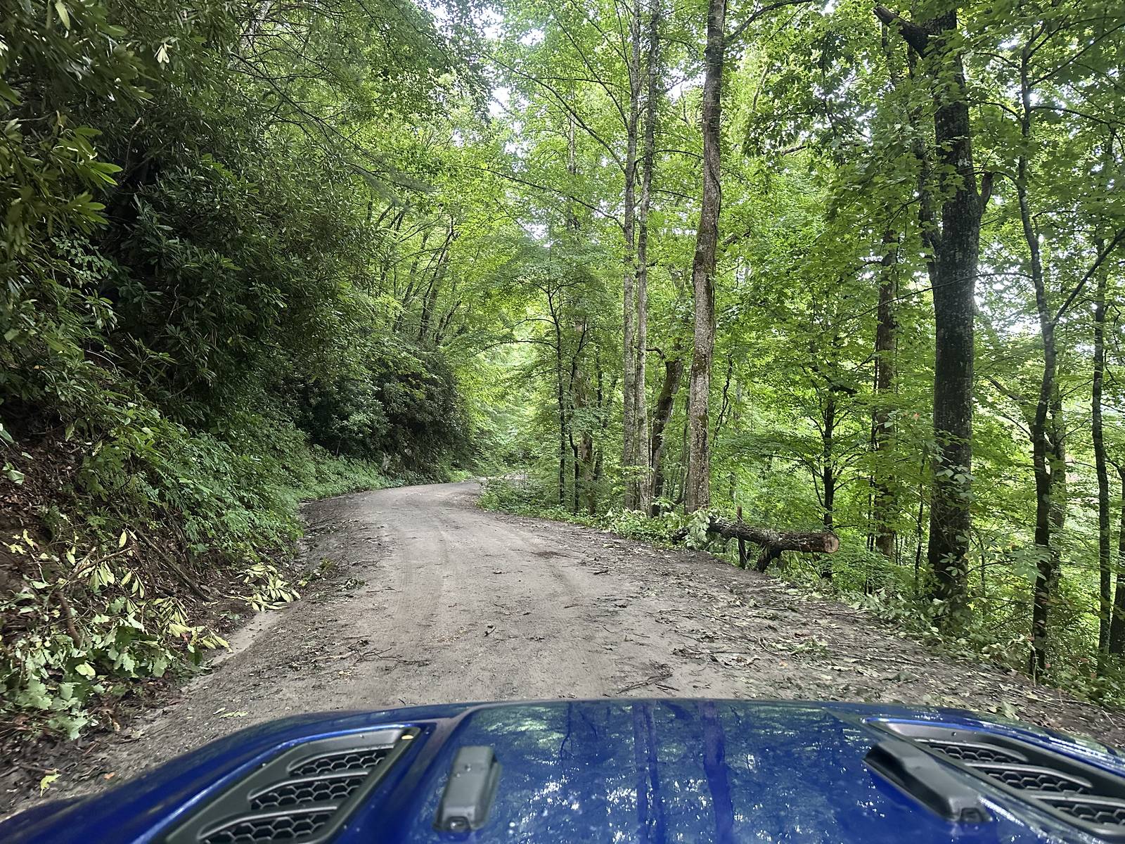 Jeep Wrangler JL Smokey Mountains 1000 Fun i-Wdn8Pg9-X3