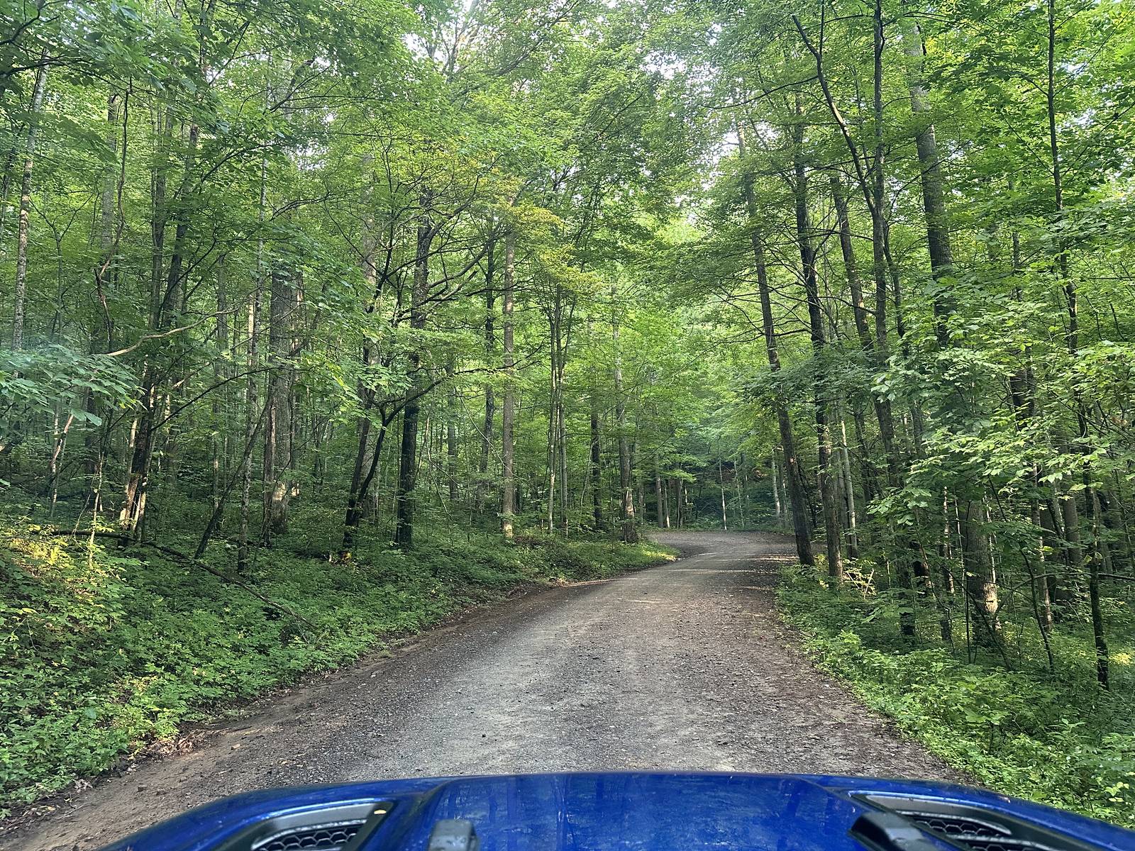 Jeep Wrangler JL Smokey Mountains 1000 Fun i-rxpf5rR-X3