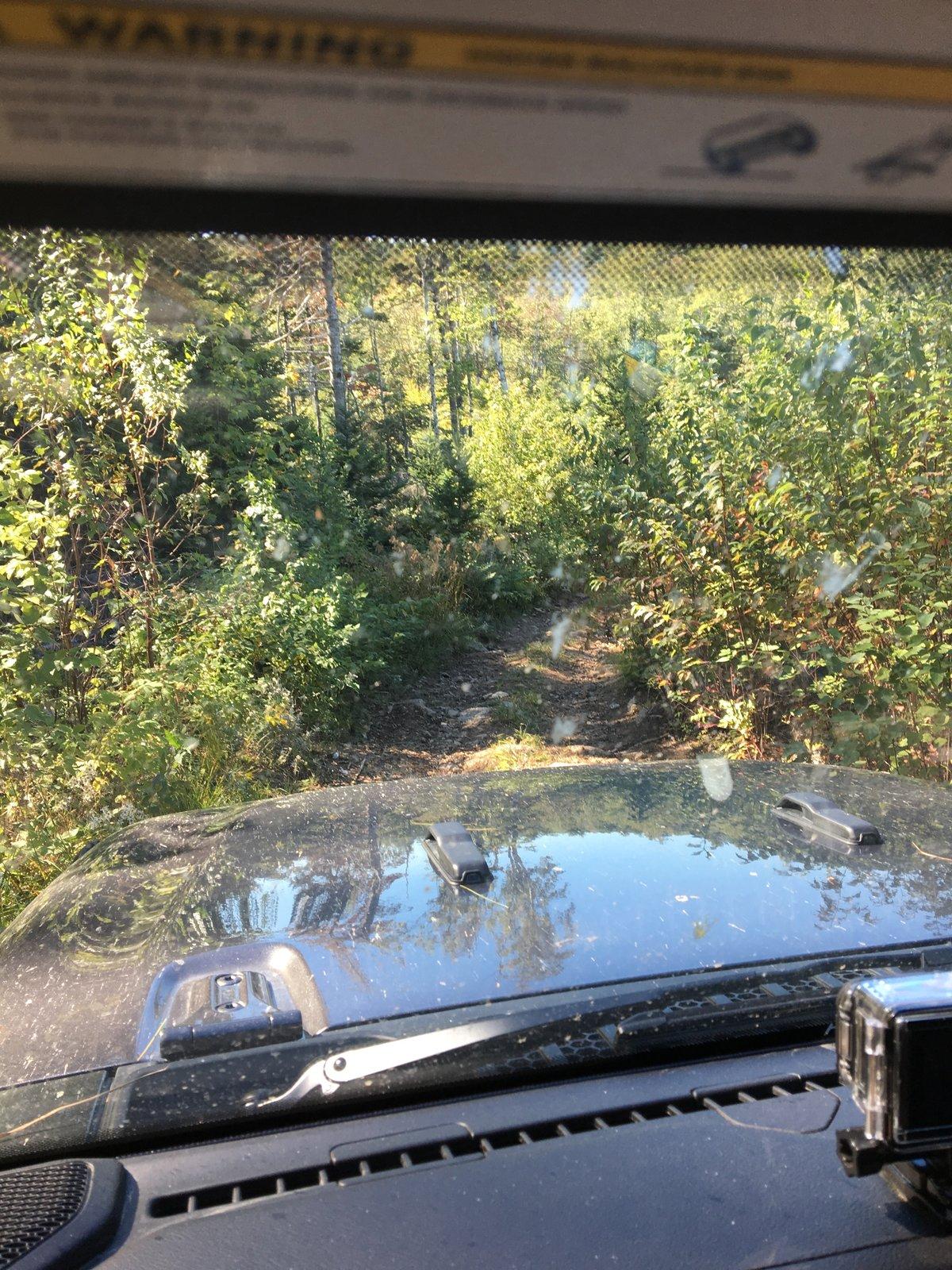 Jeep Wrangler JL What did you do WITH your Jeep today. IMG_1521