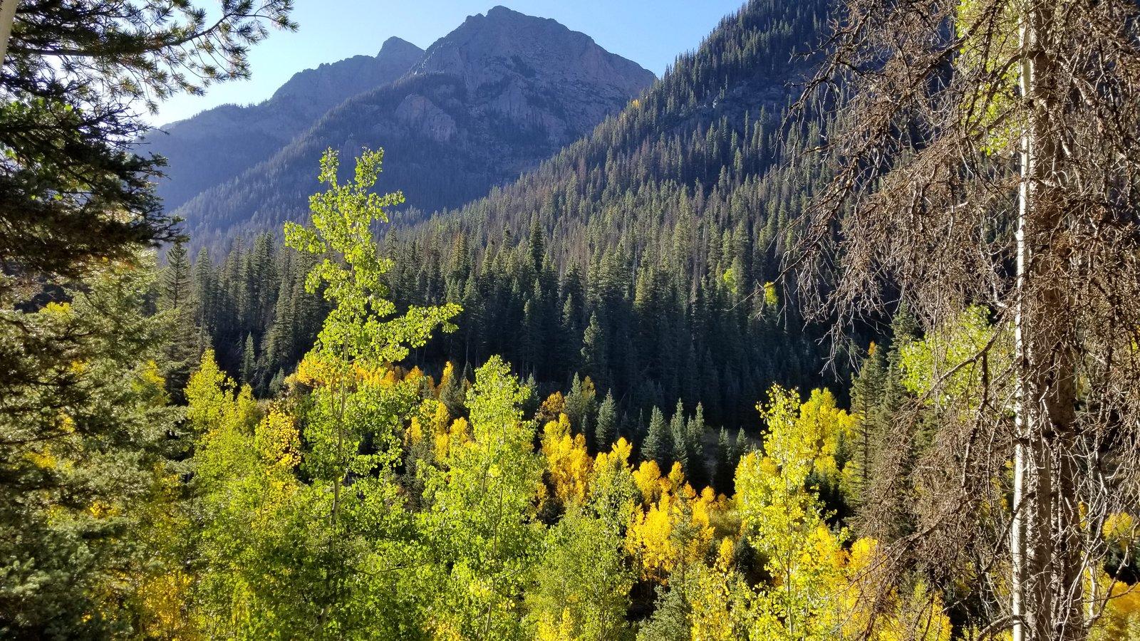20180921_084412.jpg