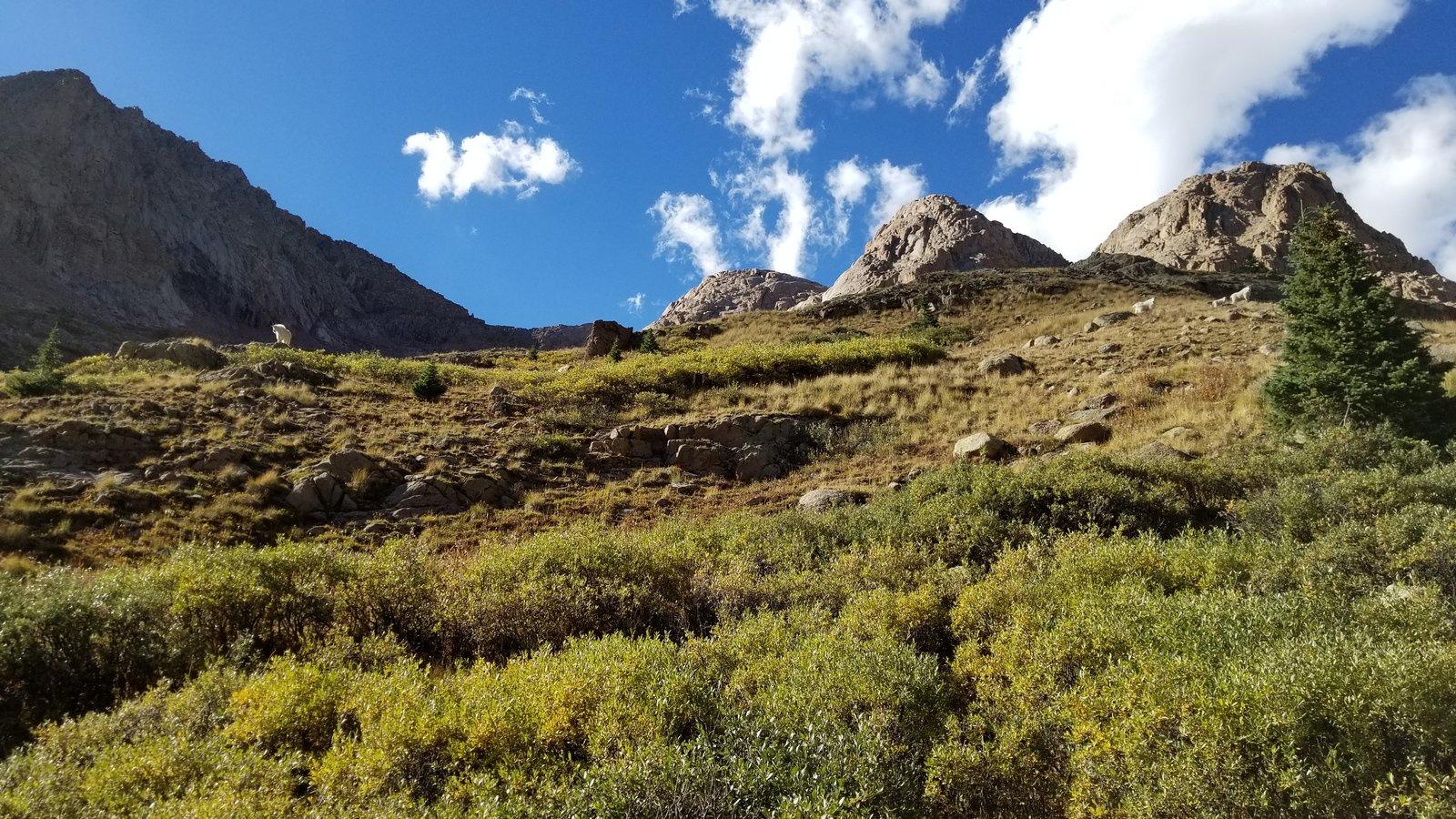 20180921_162520.jpg