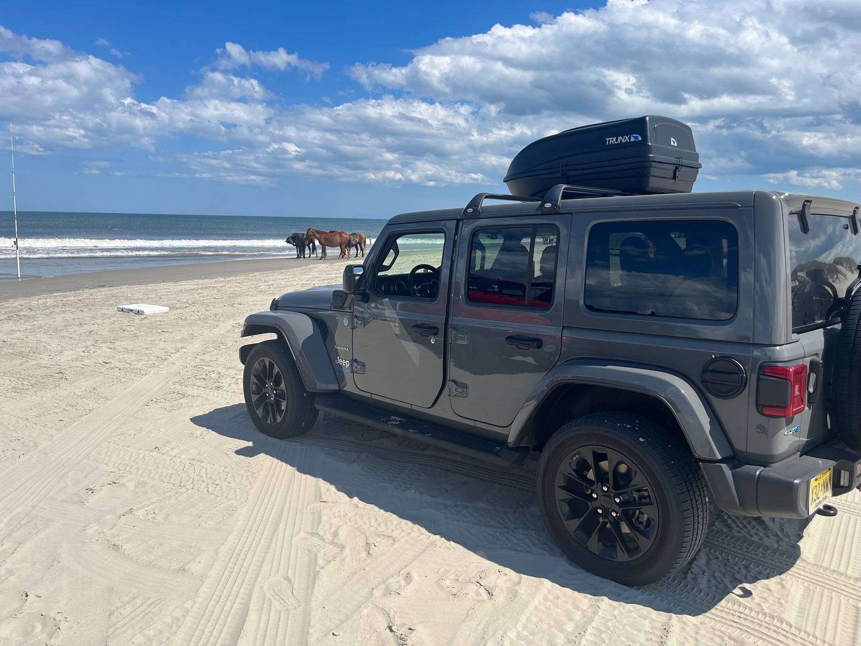 Jeep Wrangler JL Driving on the beach, concerns. IMG_7632